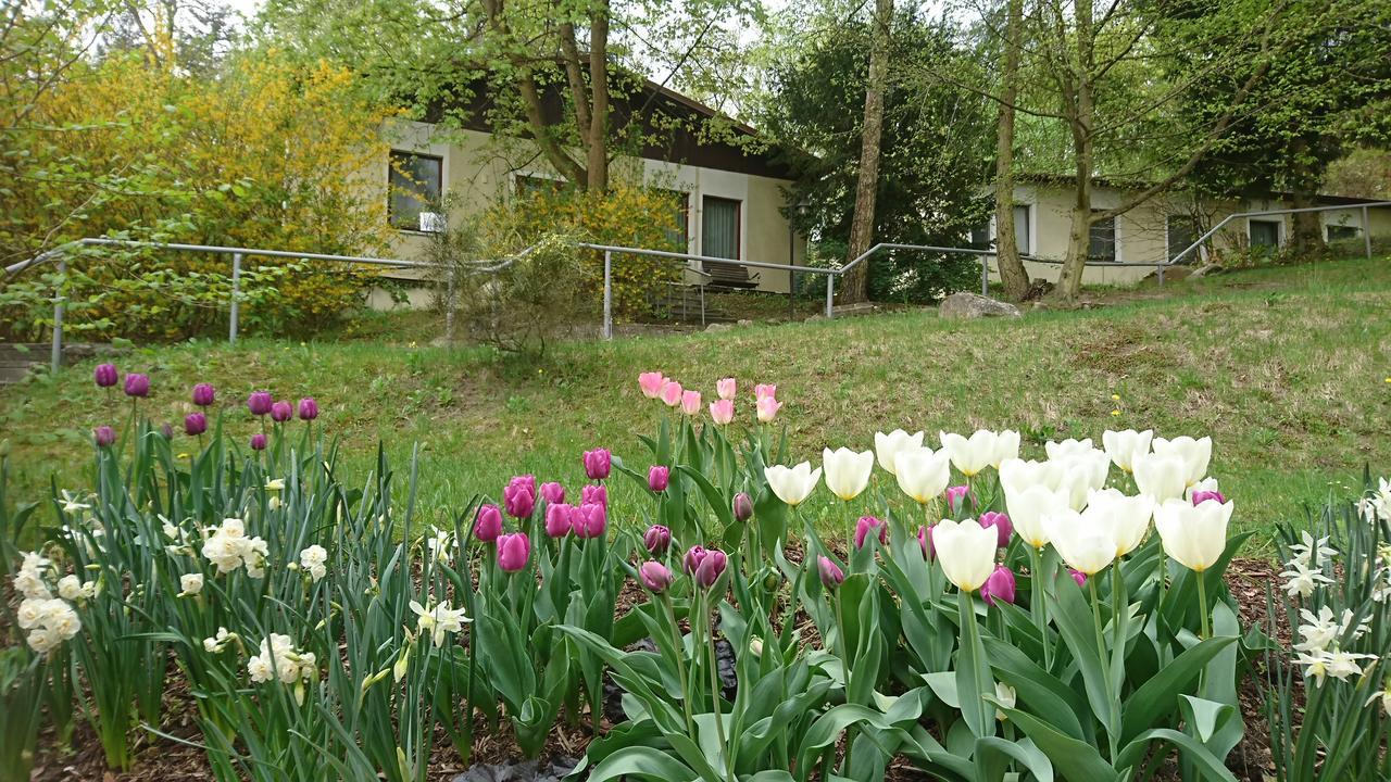 Gaestehaus Chorin Exterior foto